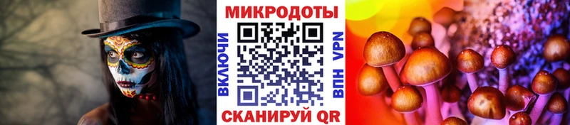 Псилоцибиновые грибы GOLDEN TEACHER  продажа наркотиков  Одинцово 